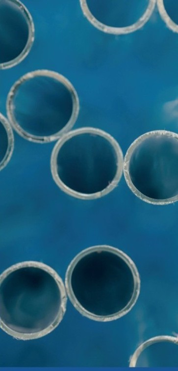 Capillary structure — neurocosmetics research